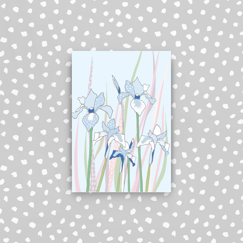 CPD43 - 5 mini cards pack - Irises