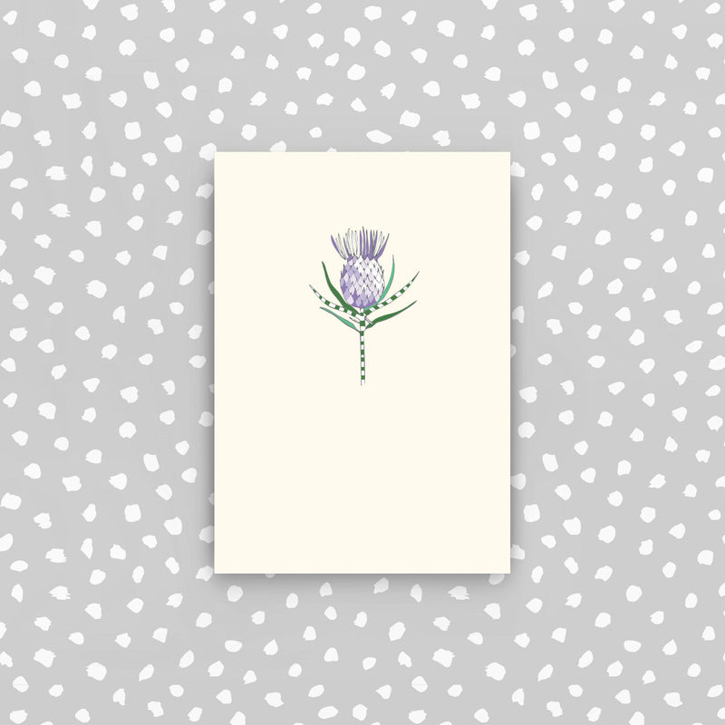CPD50 - 5 mini cards pack - Thistle