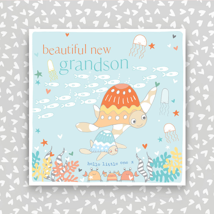 Beautiful New Grandson greeting card (FB234)