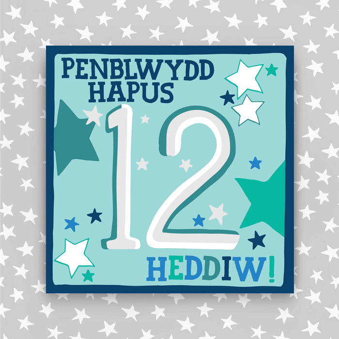 Welsh - Penblwydd Hapus 12 Heddiw - Happy Birthday 12 today card (WHH12)