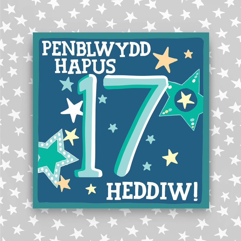 Welsh - Penblwydd Hapus 17 Heddiw - Happy Birthday 17 today card (WHH17)