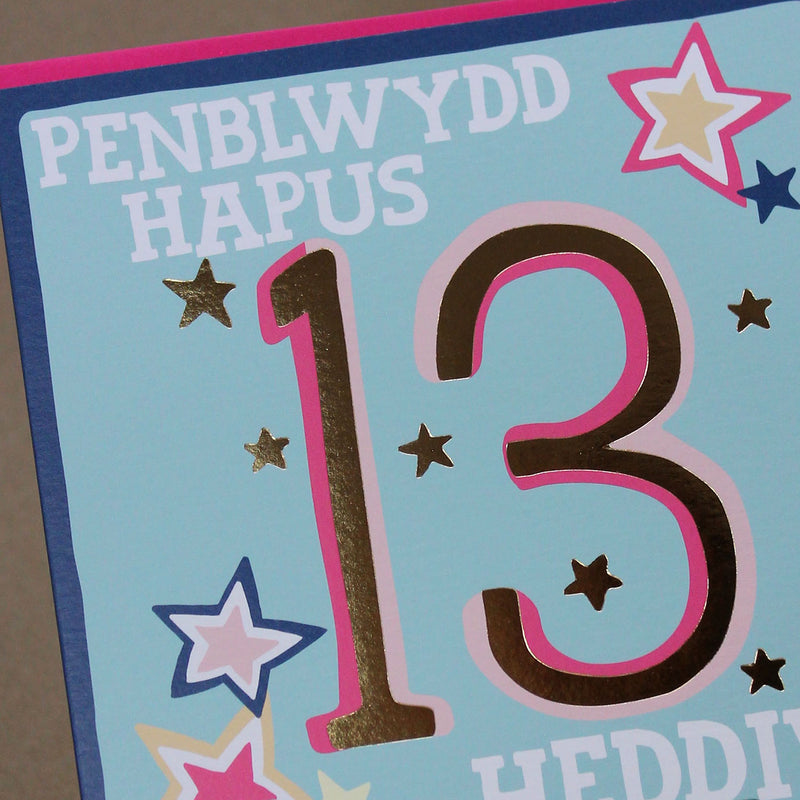 Welsh - Penblwydd Hapus 13 Heddiw - Happy Birthday 13 today card (WHH40)