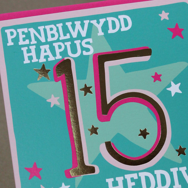 Welsh - Penblwydd Hapus 15 Heddiw - Happy Birthday 15 today card (WHH42)