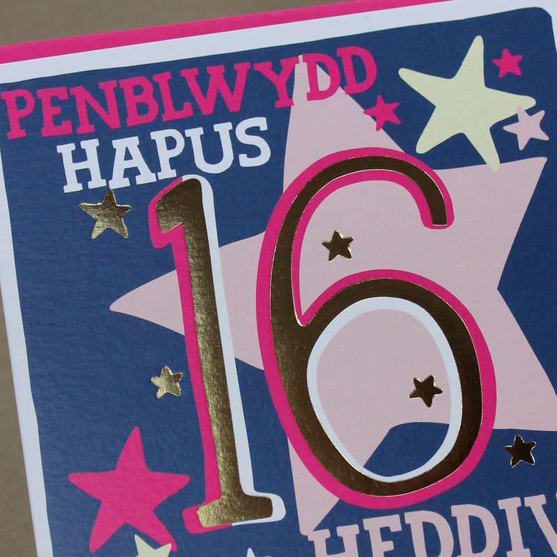 Welsh - Penblwydd Hapus 16 Heddiw - Happy Birthday 16 today card (WHH43)