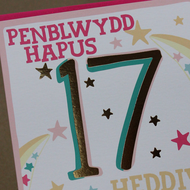 Welsh - Penblwydd Hapus 17 Heddiw - Happy Birthday 17 today card (WHH44)