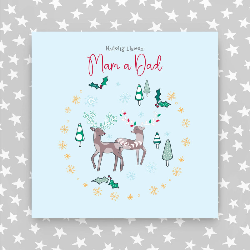 Nadolig Llawen - Mam a dad (Happy Christmas Mum and dad) (WXGR01)