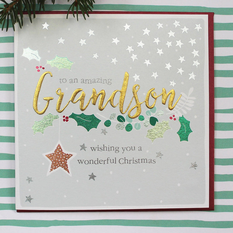 Amazing Grandson at Christmas (DH08)